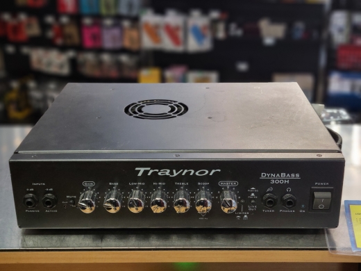 Traynor - DB300H